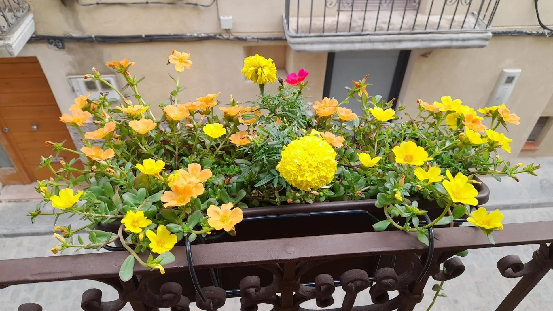 Ca La Pubilla Guest House El Masroig Country house
